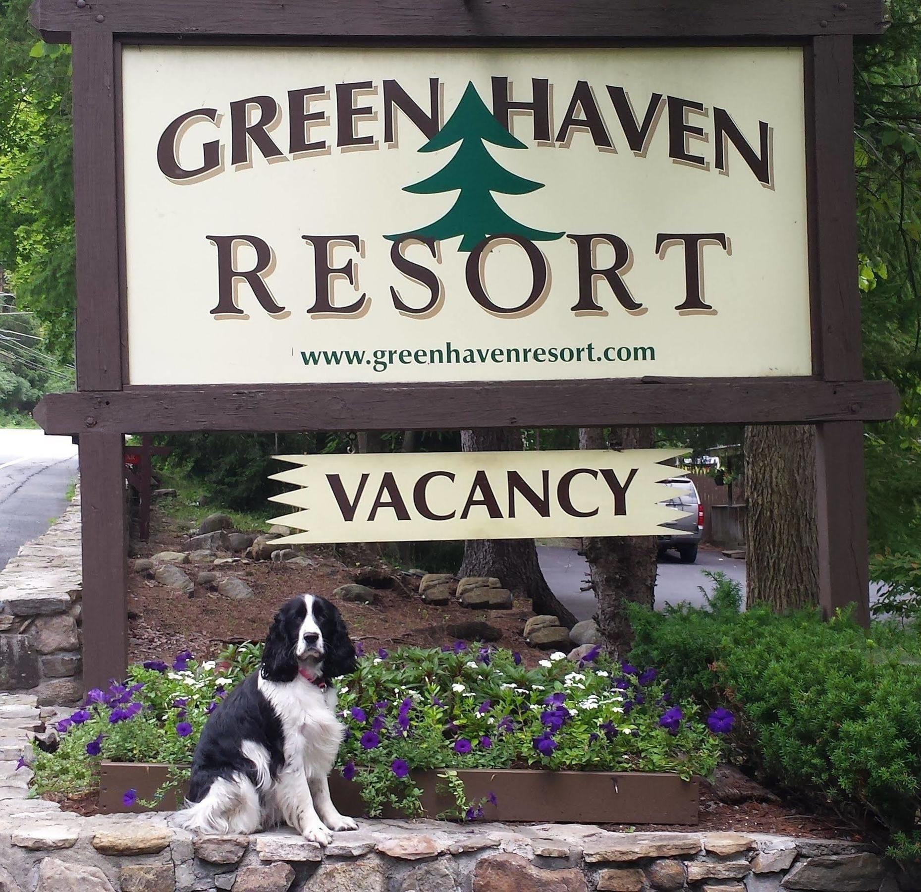 Green Haven Resort Lake George Eksteriør bilde